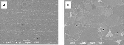 Influence of Non-metallic Inclusions on Corrosive Properties of Polar Steel